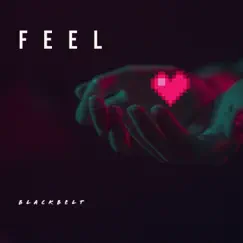 Feel - Single by BlackBelt album reviews, ratings, credits