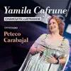 Changuito Lustrador (feat. Peteco Carabajal) - Single album lyrics, reviews, download