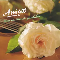 Lass ein Wunder geschehen by Amigos album reviews, ratings, credits