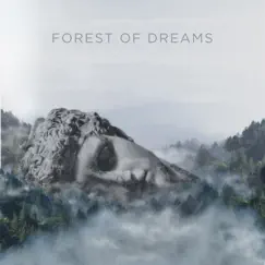 Forest of Dreams by Patrick Thomas Hawes album reviews, ratings, credits
