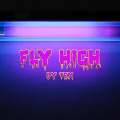 Fly High - Single by Tex album reviews, ratings, credits
