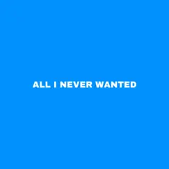 All I Never Wanted Song Lyrics