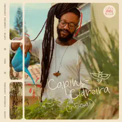 Capim-Cidreira (Infusão) - EP by Rael album reviews, ratings, credits
