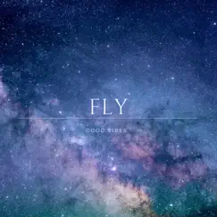 Fly - Single by Good Vibes album reviews, ratings, credits