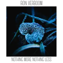 Nothing More Nothing Less - Single by Ron Verboom album reviews, ratings, credits