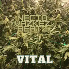 Vital - Single by Necio Vazkez Beatz album reviews, ratings, credits
