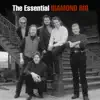 The Essential Diamond Rio album lyrics, reviews, download