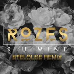 R U Mine (SteLouse Remix) Song Lyrics