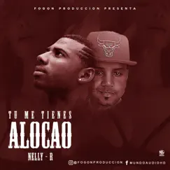 Tu Me Tiene Alocao (Con Nelly R y Fogon) Song Lyrics