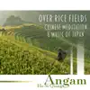 Over Rice Fields: Chinese Meditation & Music of Japan, Qing Spa, New Moon Meditation, Relaxing Asian Music, Traditional Oriental Vibes, Relaxing Asian Spa, Sleep for Beauty album lyrics, reviews, download
