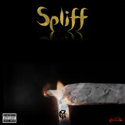 Spliff - Single by Célfmade Cel album reviews, ratings, credits