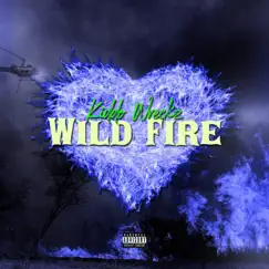 Wildfire Song Lyrics