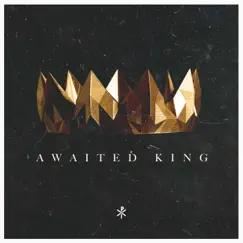 Awaited King - Single by Vintage Worship album reviews, ratings, credits