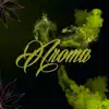 Aroma - Single album lyrics, reviews, download