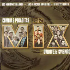 Cumbias Pegaditas by Los Hermanos Barrón, Zaaz de Victor Hugo Ruiz & Los Reyes Locos album reviews, ratings, credits