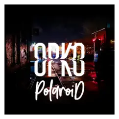 Polaroid - Single by Opko album reviews, ratings, credits