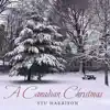 A Canadian Christmas - Single album lyrics, reviews, download