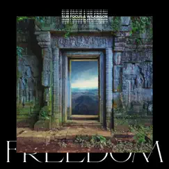 Freedom (Sub Focus x Wilkinson x High Contrast Remix) - Single by Sub Focus, Wilkinson & Empara Mi album reviews, ratings, credits