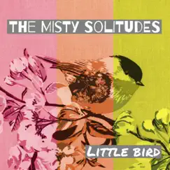 Little Bird - Single by The Misty Solitudes album reviews, ratings, credits