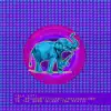 Mr. Grammarticalogylisationalism Boss (feat. Fela Kuti) - Single album lyrics, reviews, download