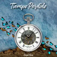 Tiempo Perdido - Single by Engel Sanz album reviews, ratings, credits