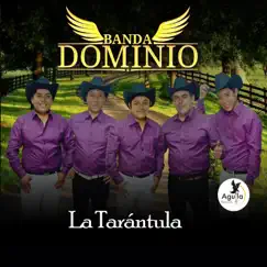 La Tarántula - Single by Banda Domínio album reviews, ratings, credits