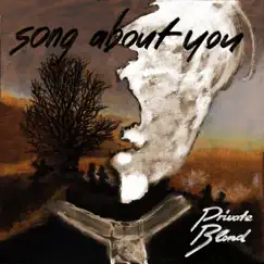 Song About You - Single by Private Blend album reviews, ratings, credits