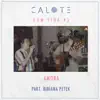 Calote Com Vida #3: Amora (feat. Bibiana Petek) - Single album lyrics, reviews, download