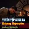 Tuyển Tập Song Ca Đăng Nguyên album lyrics, reviews, download