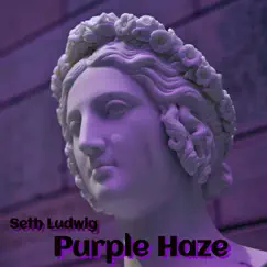 Purple Haze (Instrumental) - Single by Seth Ludwig album reviews, ratings, credits