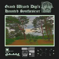 Grand Wizard Digi's Haunted Synthesiezer by Digigurl album reviews, ratings, credits