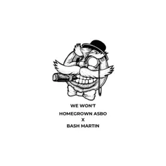 We Won't (feat. Bash Martin) Song Lyrics
