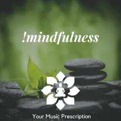 !Mindfulness by Your Music Prescription album reviews, ratings, credits