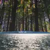Look Up Through the Trees - Single album lyrics, reviews, download