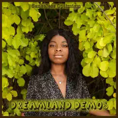 Dreamland Demos - EP by Senseless Optimism album reviews, ratings, credits