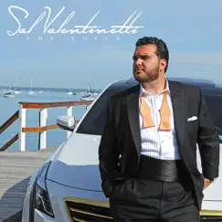 The Voice - EP by Sal Valentinetti album reviews, ratings, credits