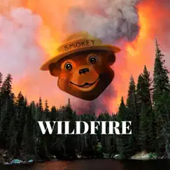 Wildfire - Single by Rod-Drick album reviews, ratings, credits