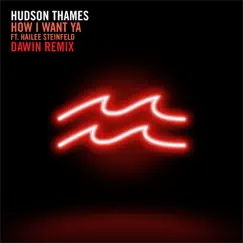 How I Want Ya (feat. Hailee Steinfeld) [Dawin Remix] - Single by Hudson Thames album reviews, ratings, credits