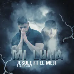 Mi Luna (feat. El Meji) - Single by Jesule Fernández album reviews, ratings, credits