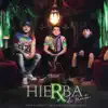 Hierba de Receta (feat. T3r Elemento & Oscar Cortez) - Single album lyrics, reviews, download