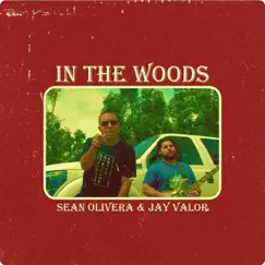 In the Woods (feat. Jay Valor) - Single by Sean Olivera album reviews, ratings, credits