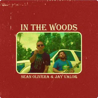 Download In the Woods (feat. Jay Valor) Sean Olivera MP3