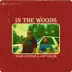 In the Woods (feat. Jay Valor) mp3 download