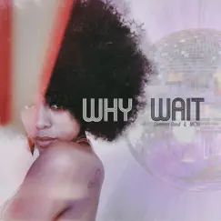 Why Wait (feat. MCIII) Song Lyrics