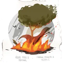 Águas para o Pantanal - Single by Marina Peralta & Alzira E album reviews, ratings, credits