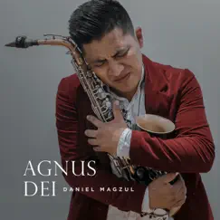 Agnus Dei Song Lyrics