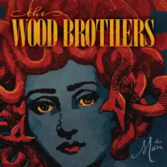The Muse by The Wood Brothers album reviews, ratings, credits