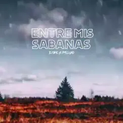 Entre mis Sabanas - Single by Quito Hip Hop album reviews, ratings, credits