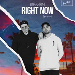 Right Now (Na Na Na) - Single by Braaheim album reviews, ratings, credits