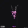 The G.O.A.T. In Sheep's Clothing 2 (ChopNotSlop Remix) album lyrics, reviews, download